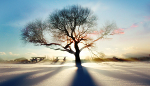 明天上行主场逼平，坚守阵地不失